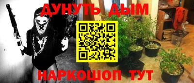 PSILOCYBIN Пенза