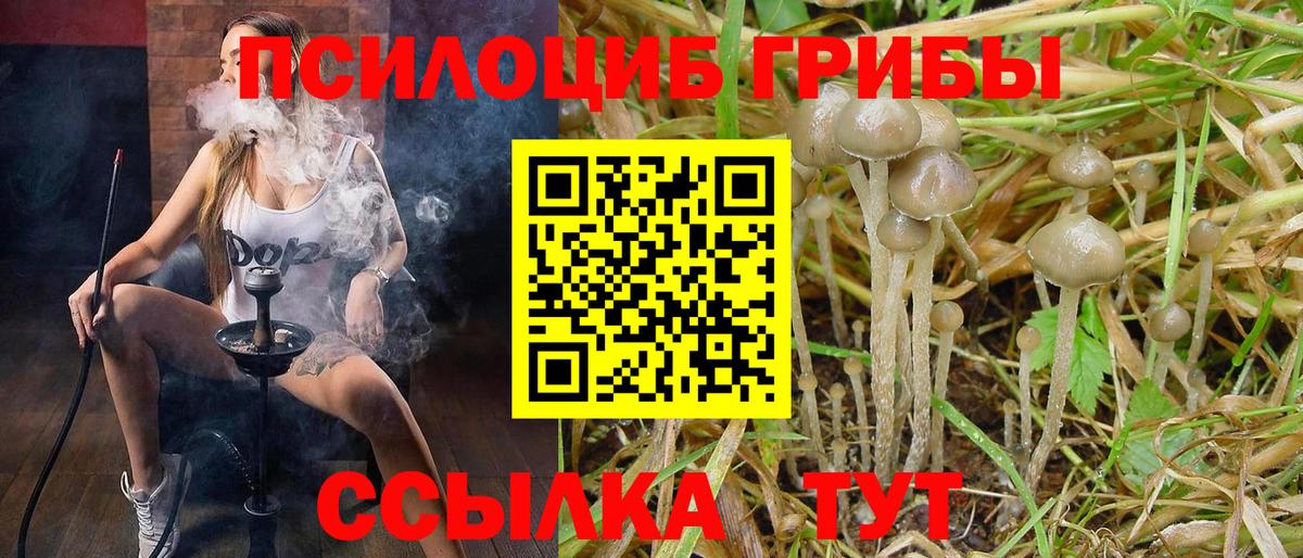 Галлюциногенные грибы MAGIC MUSHROOMS Сегежа