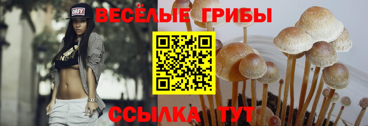 Галлюциногенные грибы ЛСД  Вход с VPN  Псилоцибиновые грибы Psilocybine cubensis  Сегежа 