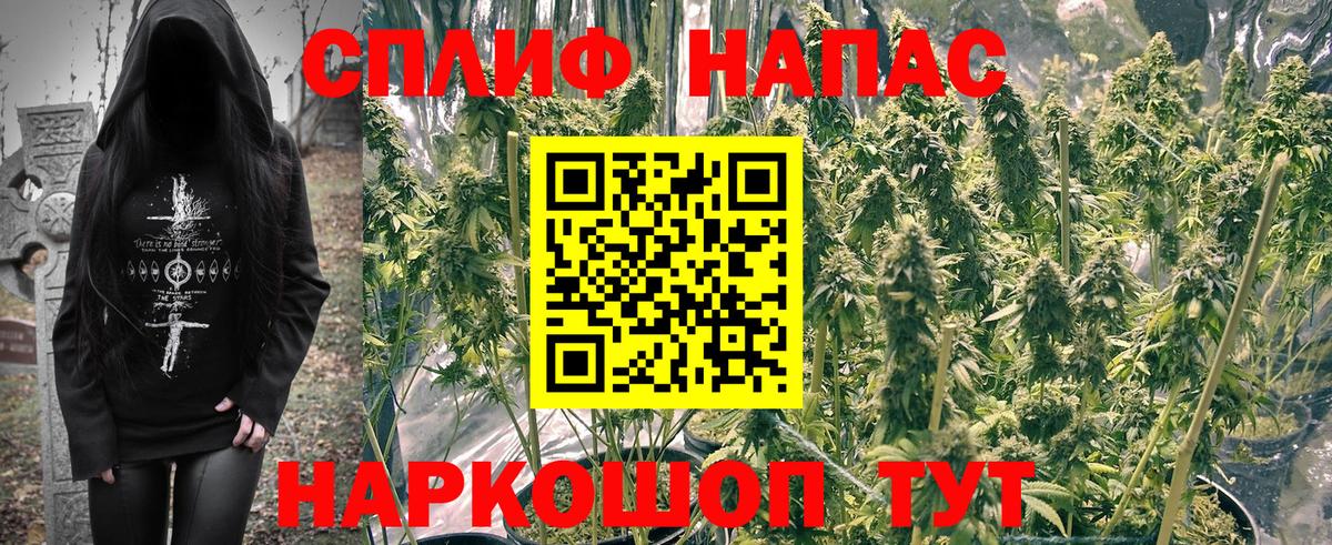 Конопля тримм  Бошки марихуана конопля  Марихуана планчик  Вход с VPN  Сегежа  МАРИХУАНА LSD WEED 